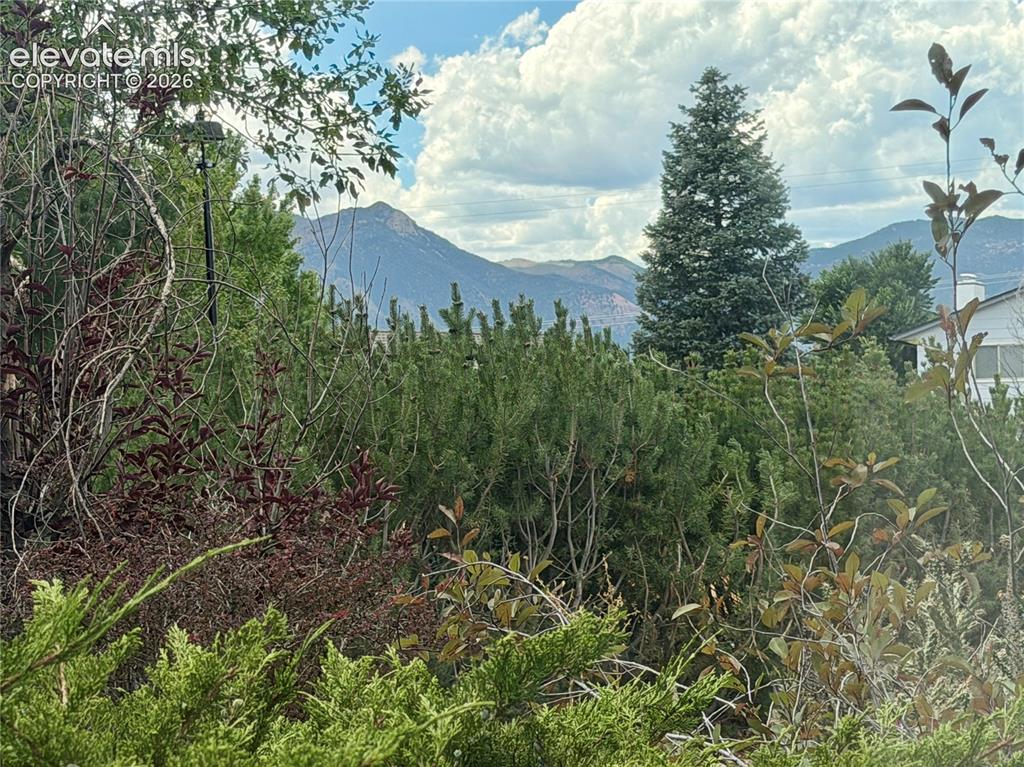 Image 39 of 50: Lush landscaping frames distant mountain peaks under a dynamic sky