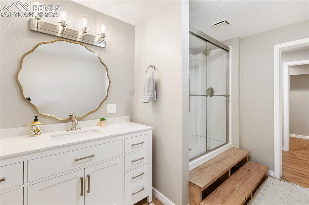 Image 37 of 50: Basement level bathroom with vanity, walk in shower and separate sink and t