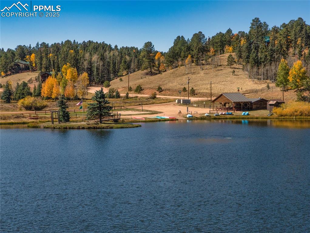 Image 50 of 50: View