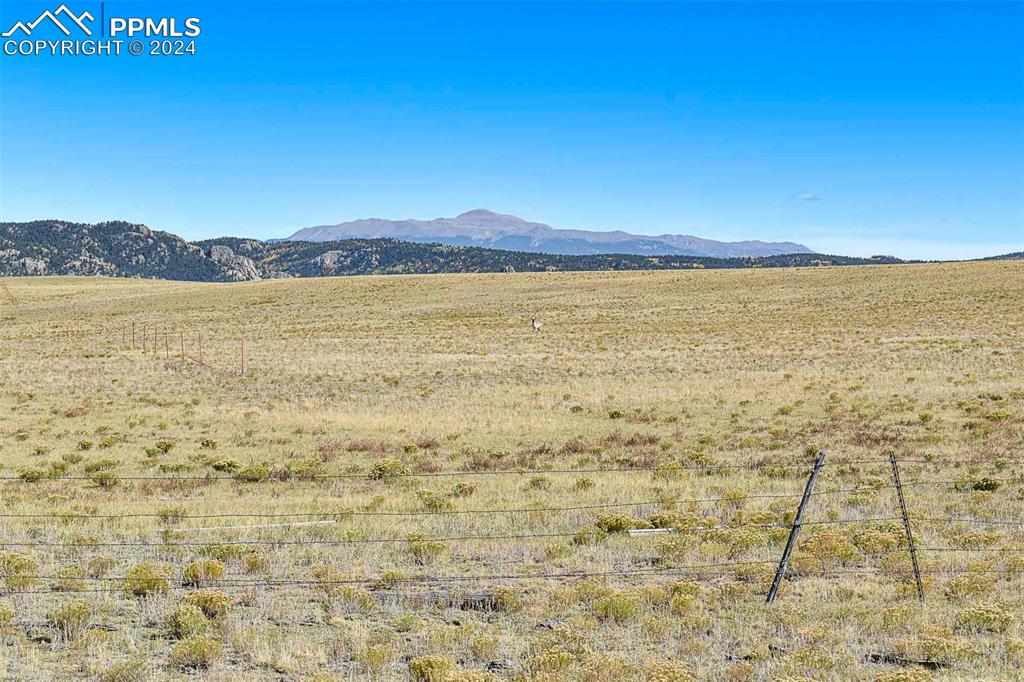 Image 10 of 42: View