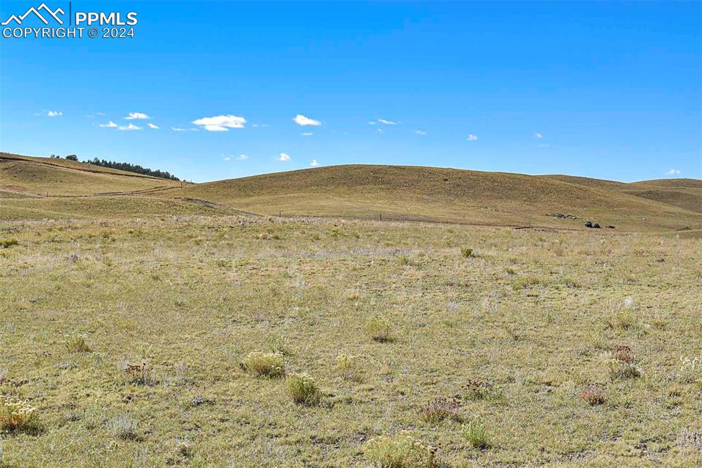 Image 11 of 42: View