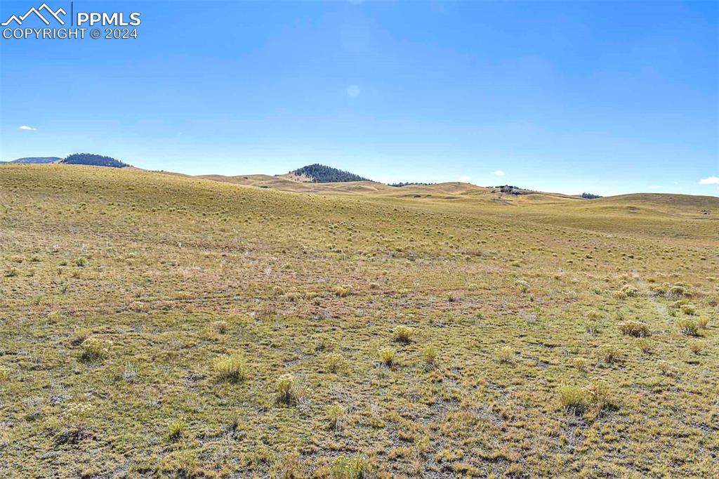 Image 29 of 42: View