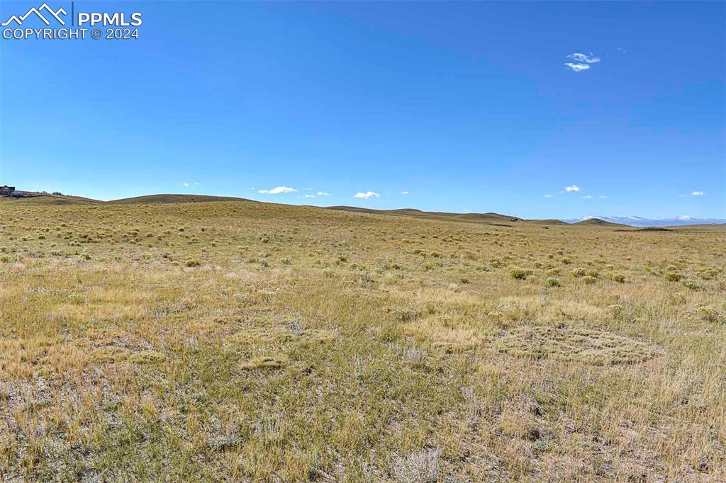 Image 32 of 42: Other