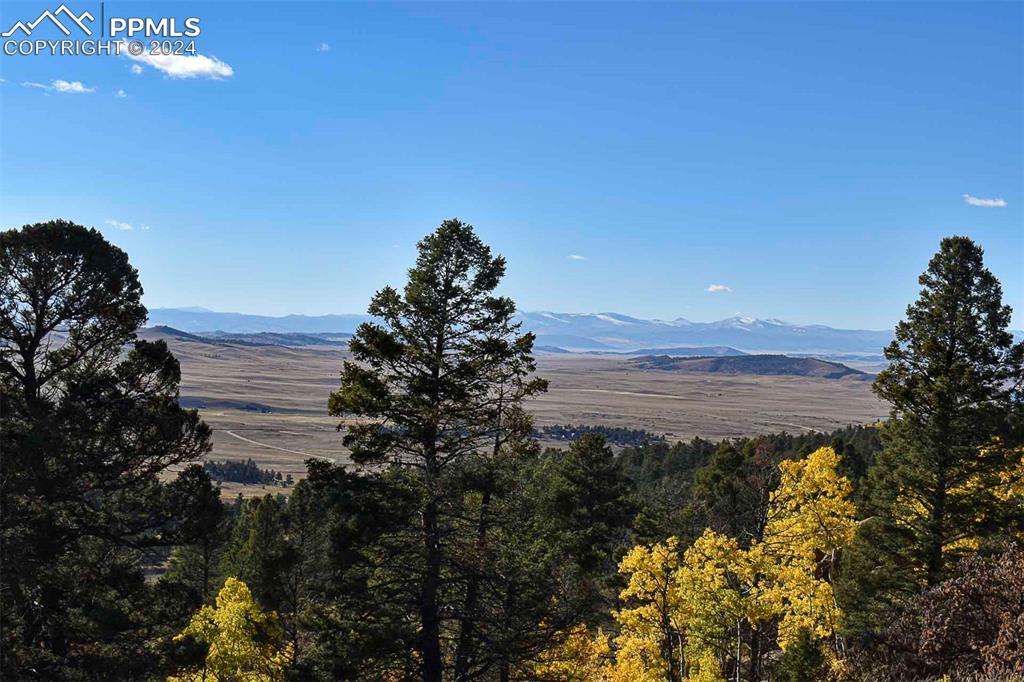 Image 42 of 42: View