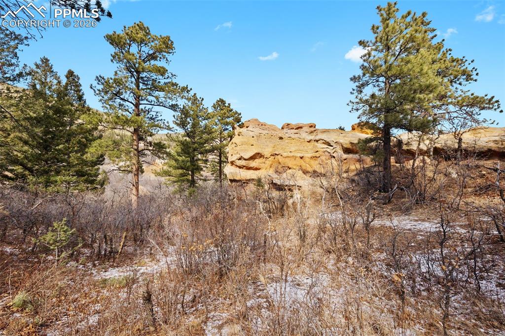 Image 10 of 50: Other