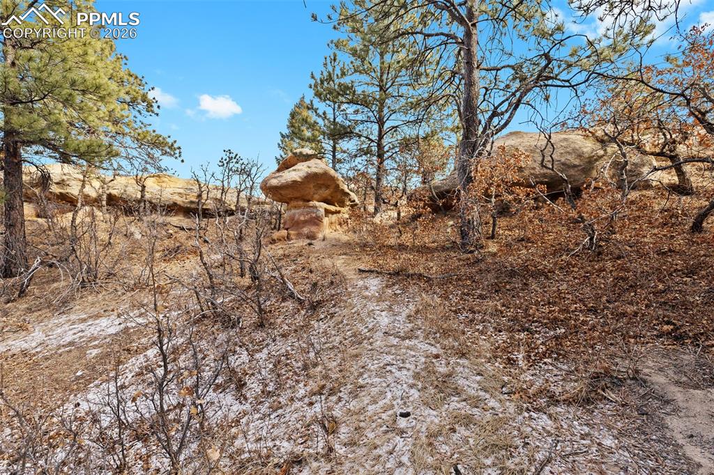 Image 11 of 50: Other