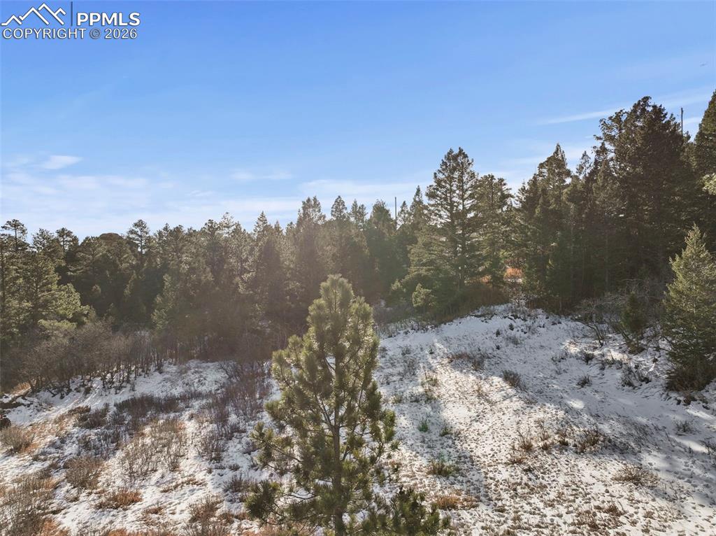 Image 47 of 50: Other