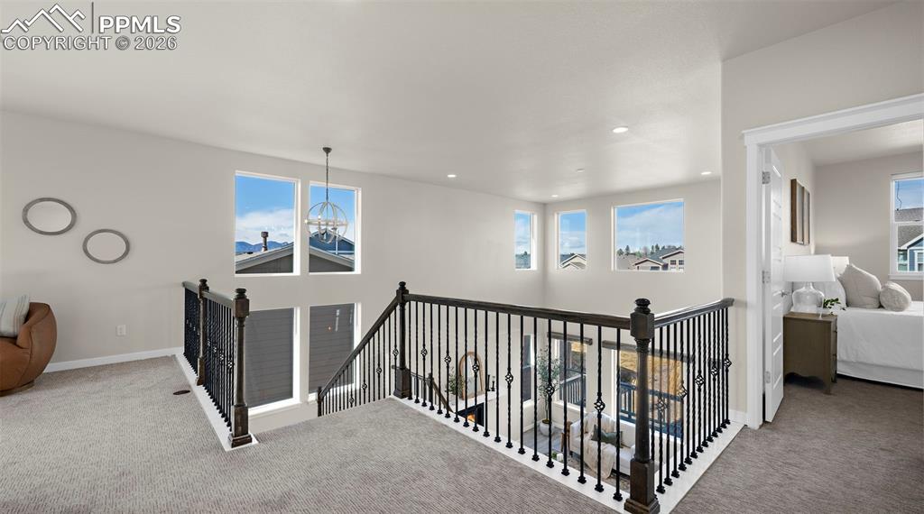 Image 21 of 50: Other