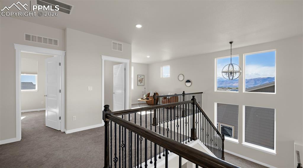 Image 22 of 50: Other