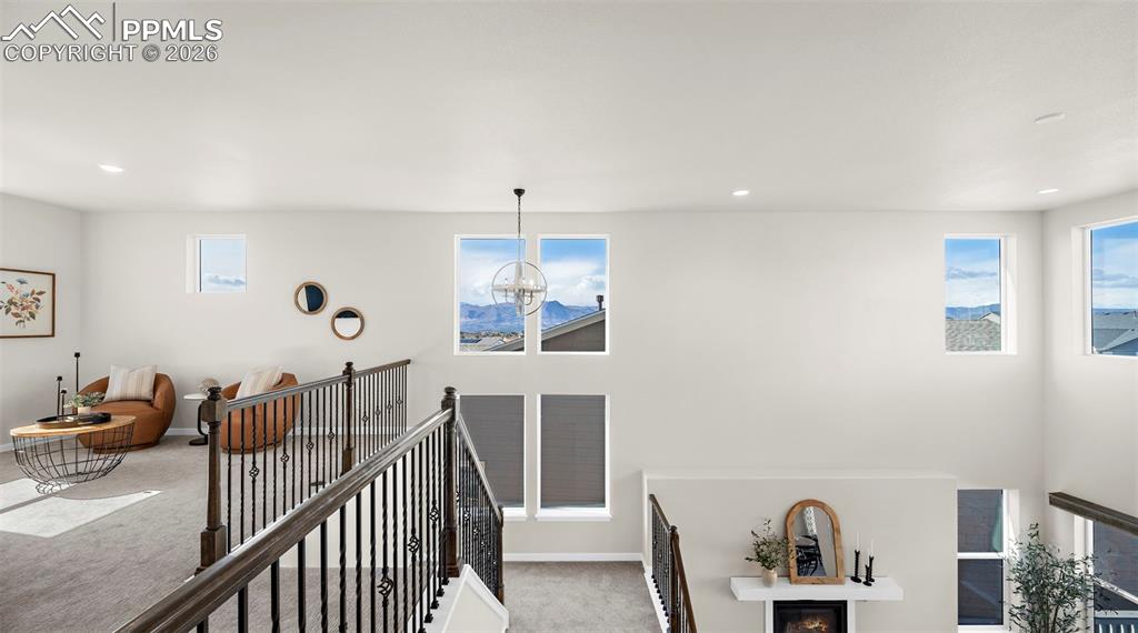 Image 36 of 50: Other