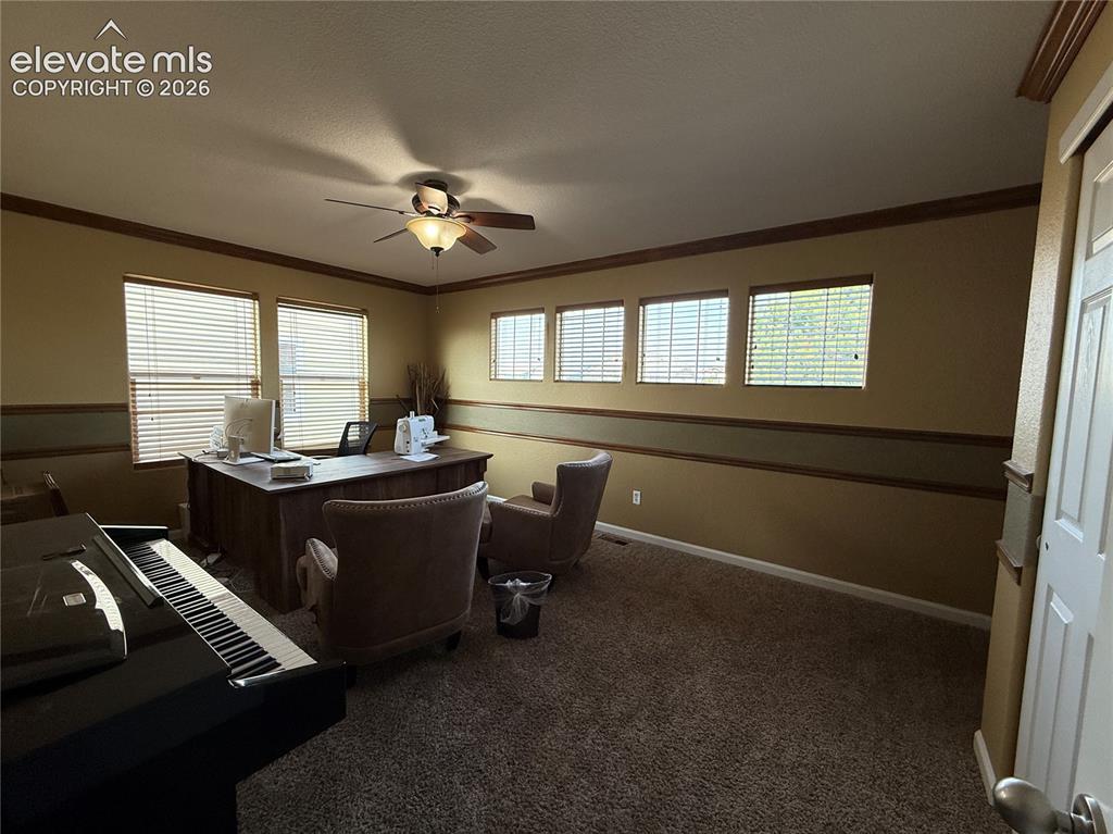 Image 17 of 27: Warm-toned walls with decorative banding, multiple windows with blinds, a c
