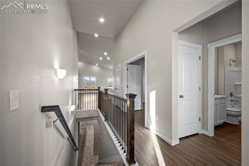 Image 15 of 31: Other