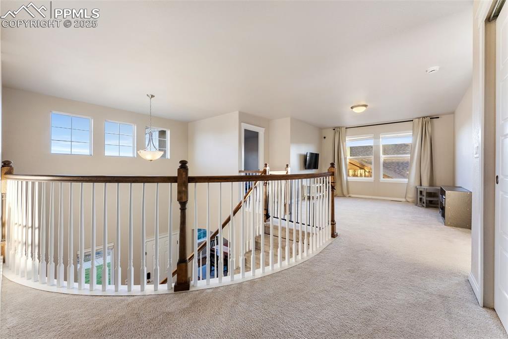 Image 27 of 50: Other