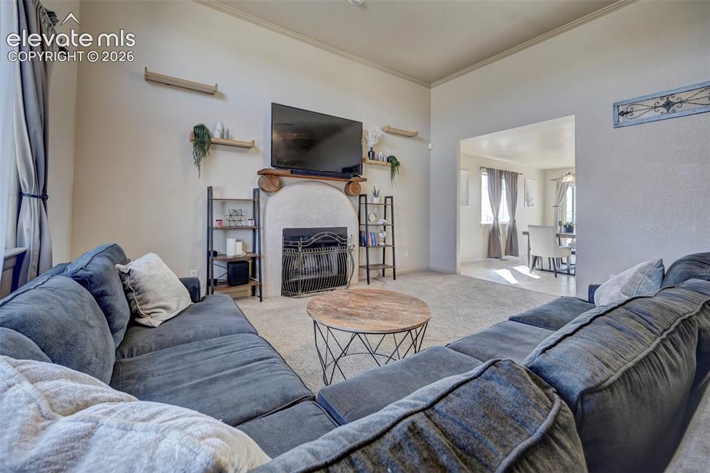 Image 4 of 48: Living Room