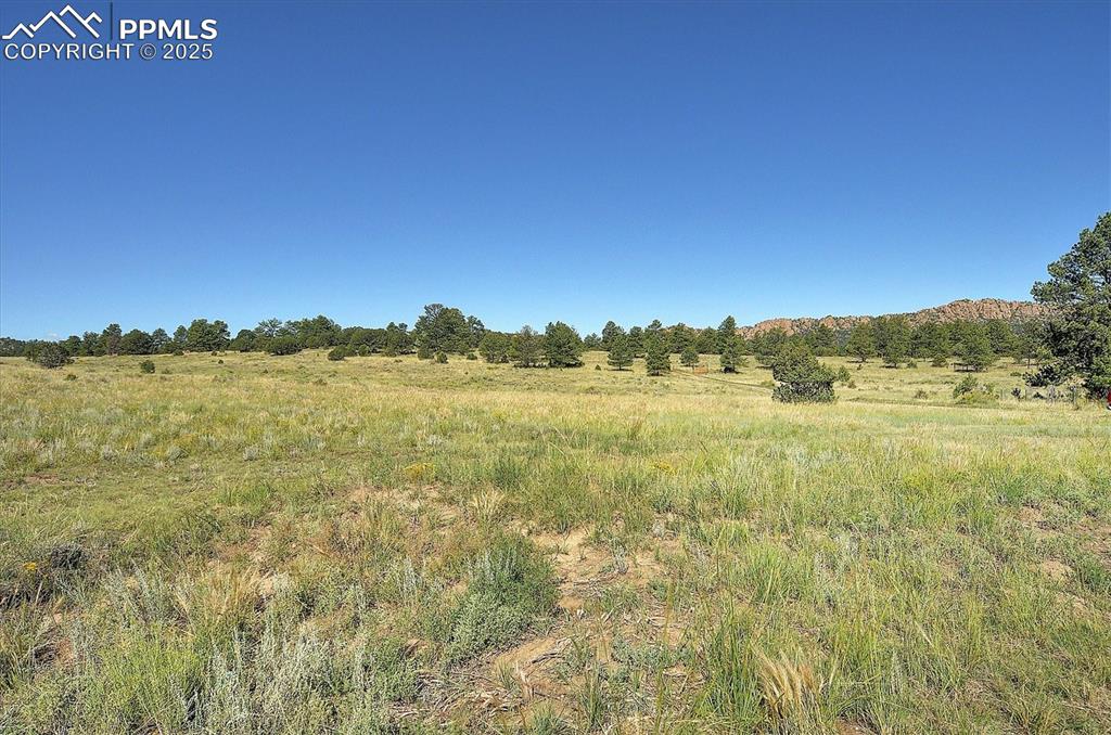 Image 27 of 35: Other