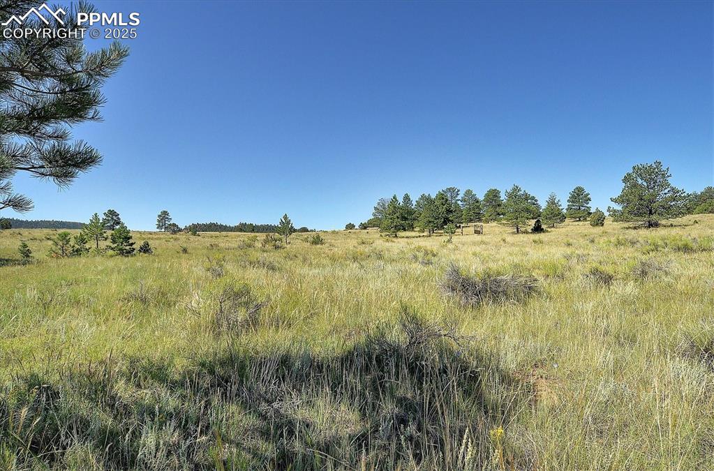 Image 28 of 35: Other