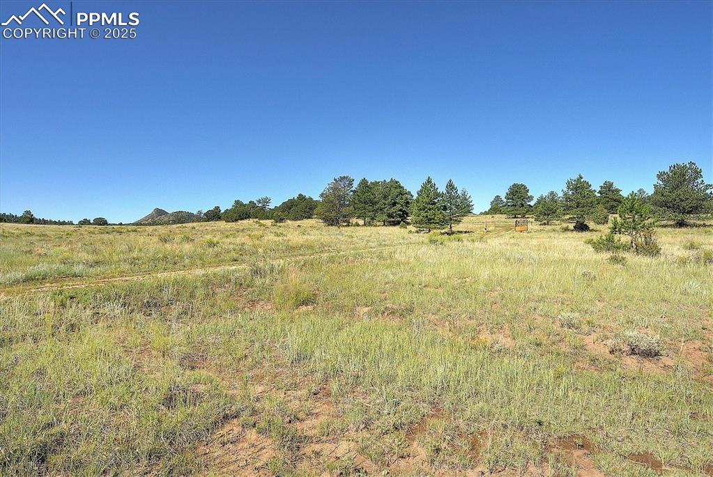 Image 29 of 35: Other