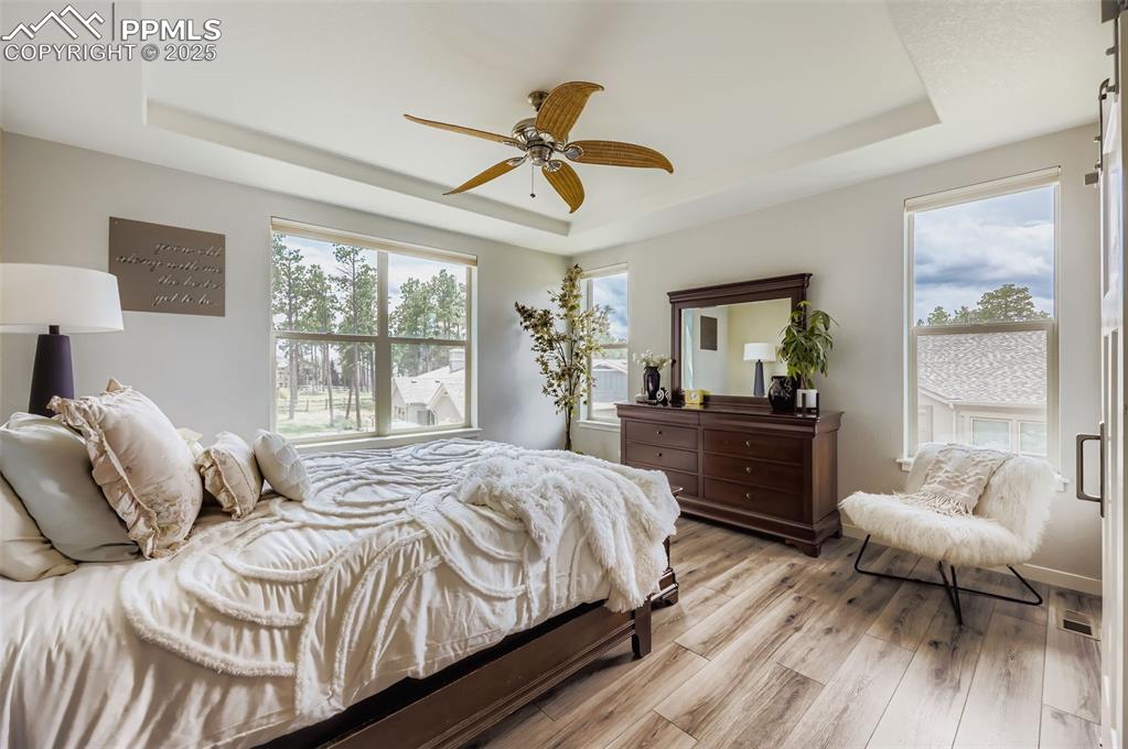 Image 20 of 50: Bedroom with a raised ceiling, light wood-style floors, and multiple window