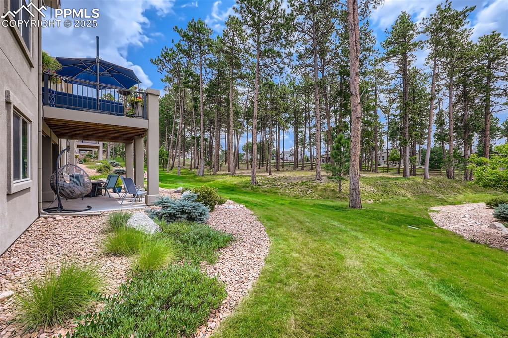 Image 50 of 50: View of grassy yard with a patio