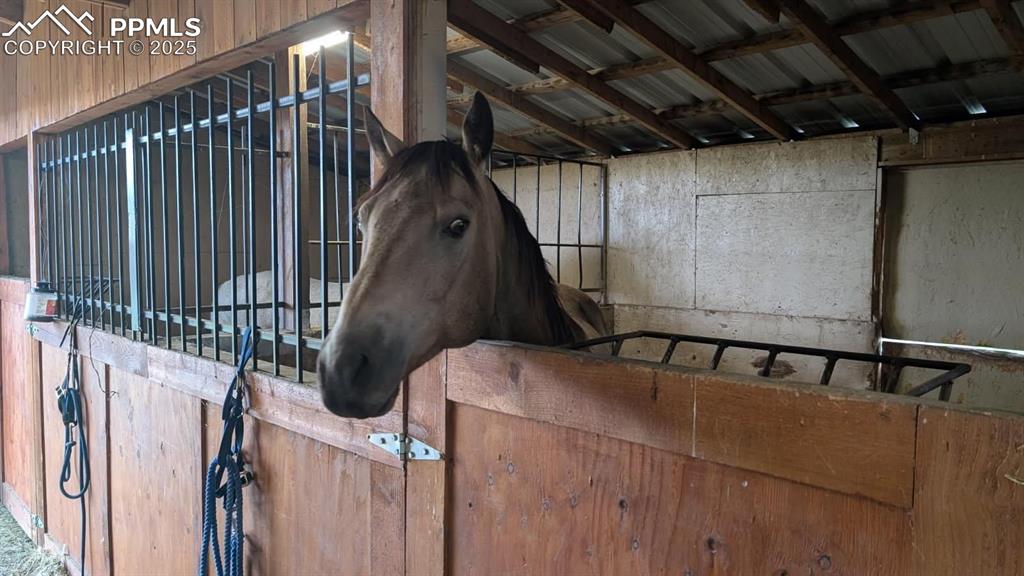 Image 26 of 31: Stable