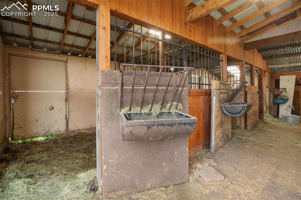 Image 27 of 31: Stable