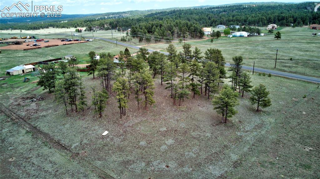 Image 4 of 31: Aerial View