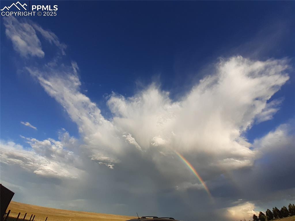 Image 8 of 29: Other