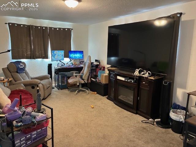 Image 3 of 17: Office space with a textured ceiling and light carpet