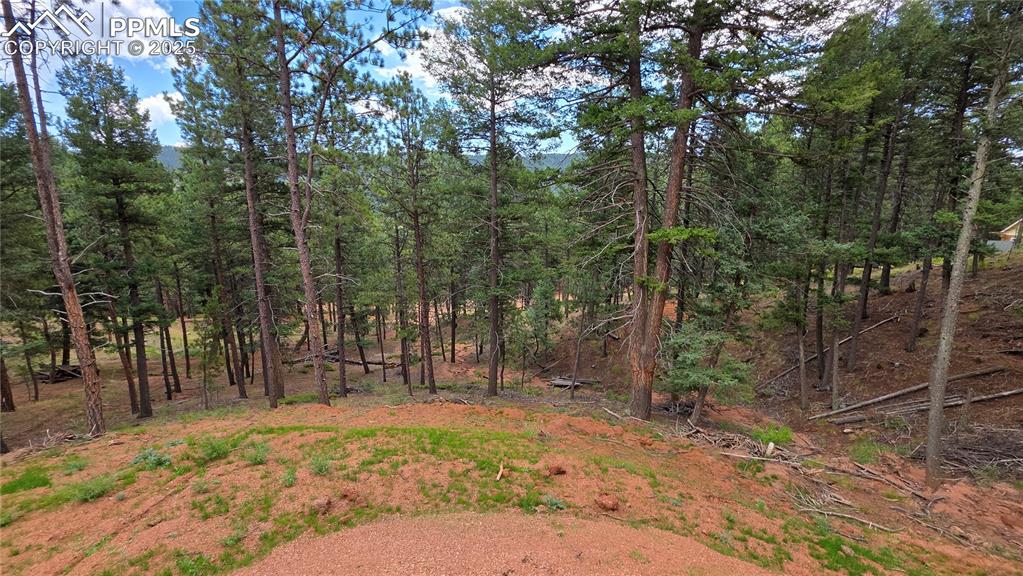 Image 8 of 24: Other