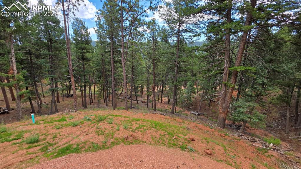 Image 9 of 24: Other