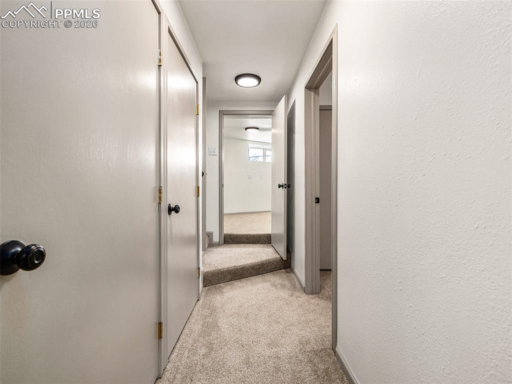 Image 36 of 50: Other