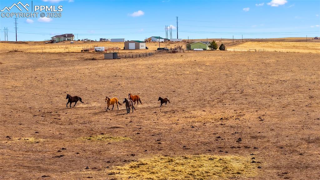 Image 28 of 43: Yard