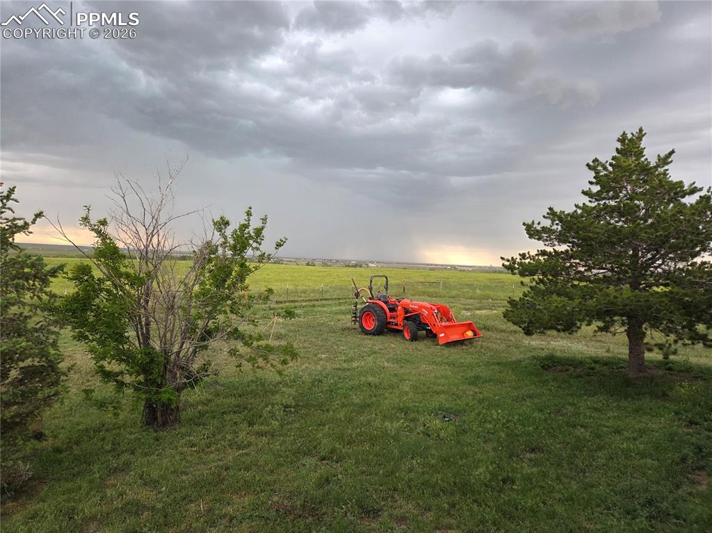 Image 30 of 43: Yard