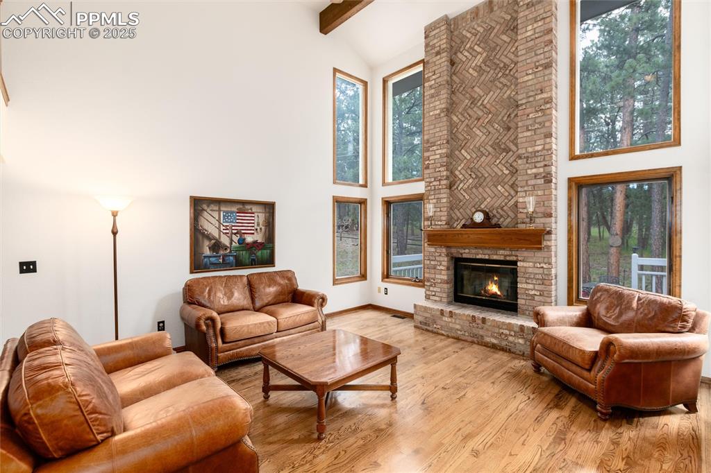 Image 10 of 41: Family Room