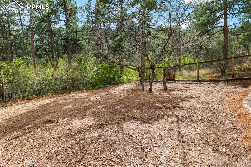 Image 46 of 47: yard