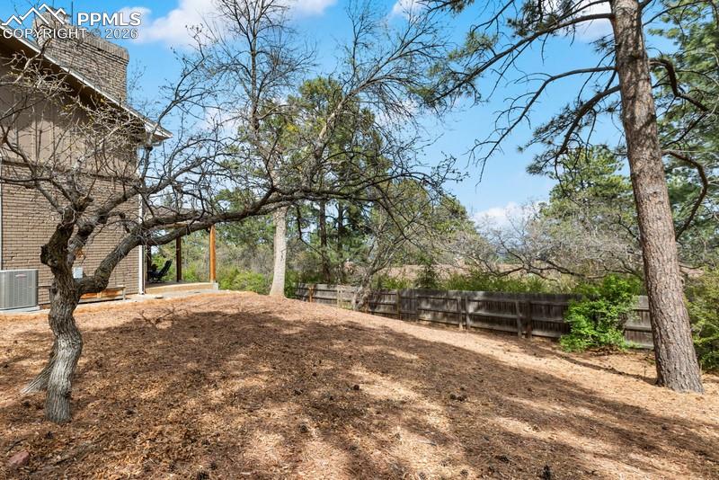 Image 47 of 47: yard