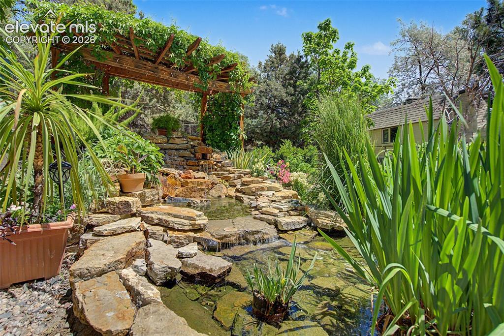 Image 5 of 40: Pond