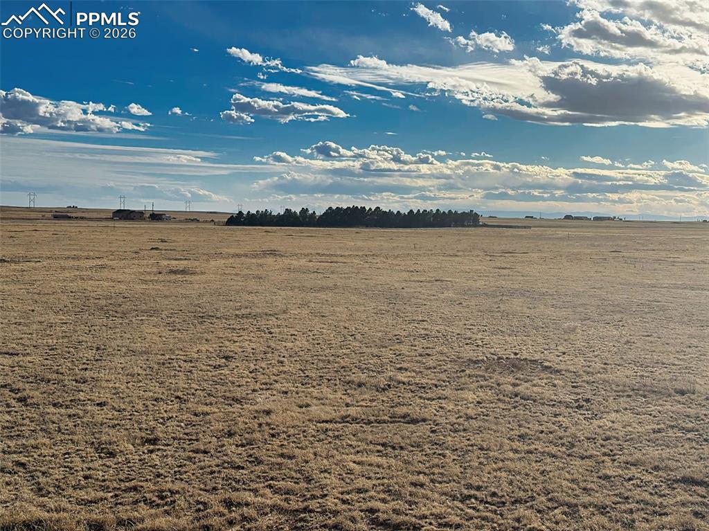 Image 3 of 10: Lot View – Surrounding Landscape – Ground-level view showcasing natural gra