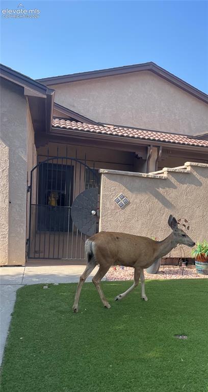 Image 6 of 6: Front & Back yards are turf