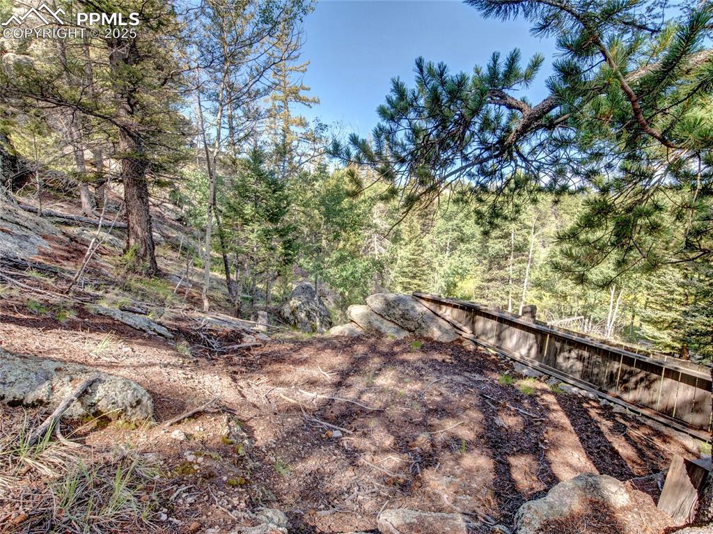 Image 31 of 43: Yard