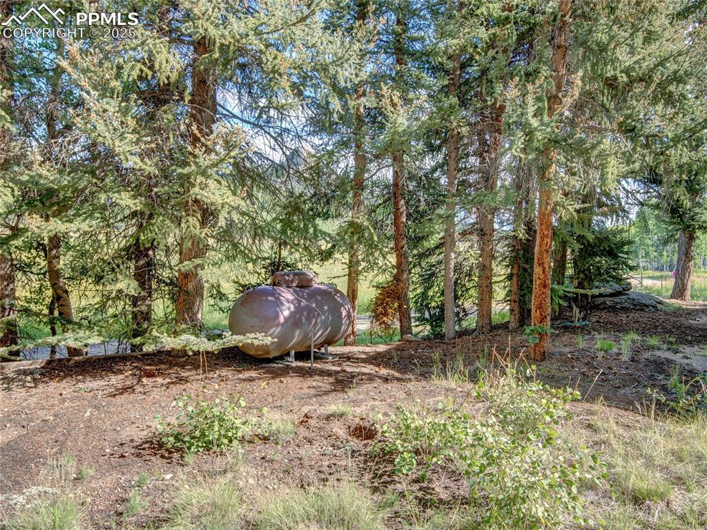 Image 33 of 43: Yard