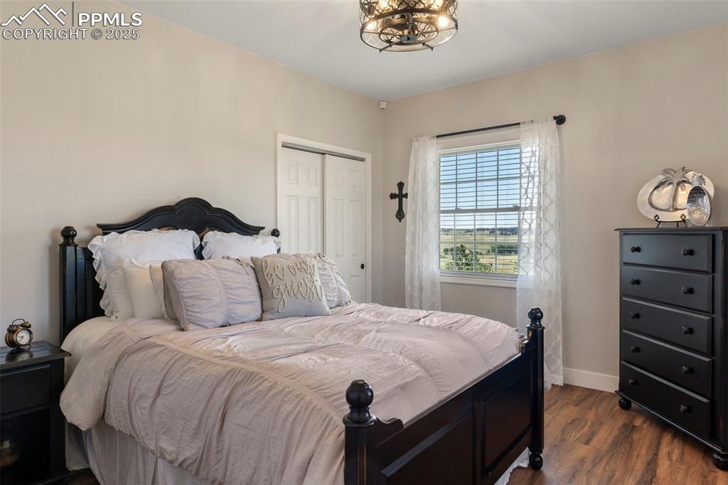 Image 6 of 50: Just off the main entry is a guest bedroom.