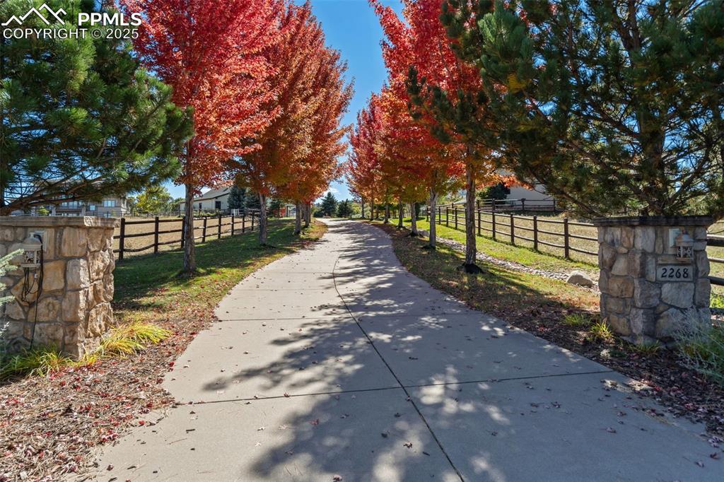 Image 2 of 50: WOW! Isn