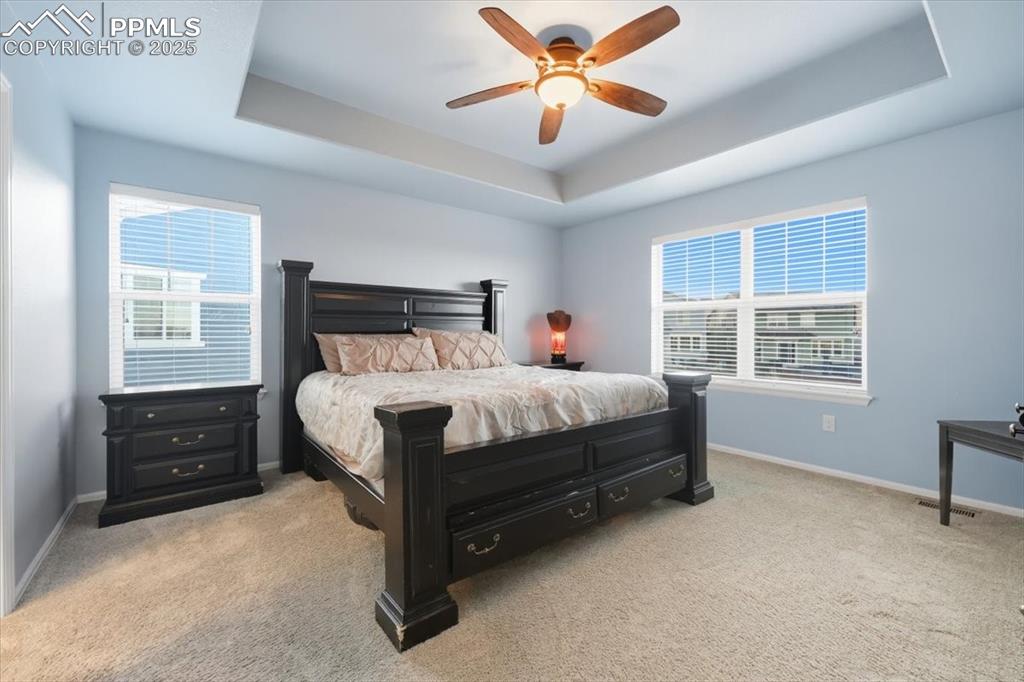 Image 9 of 35: Bedroom featuring a raised ceiling, light carpet, multiple windows, and a c