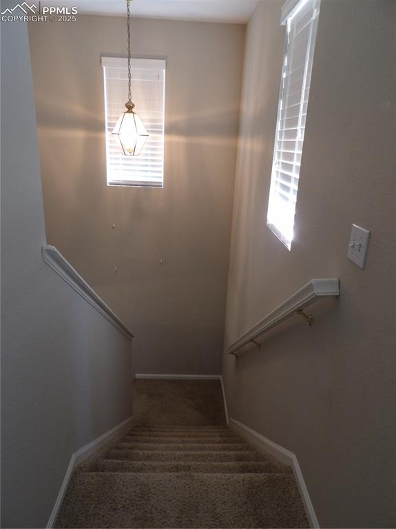 Image 23 of 23: Stairs with carpet and baseboards