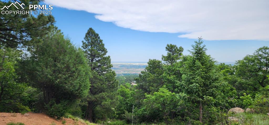 Image 3 of 3: View of mountain backdrop with a heavily wooded area