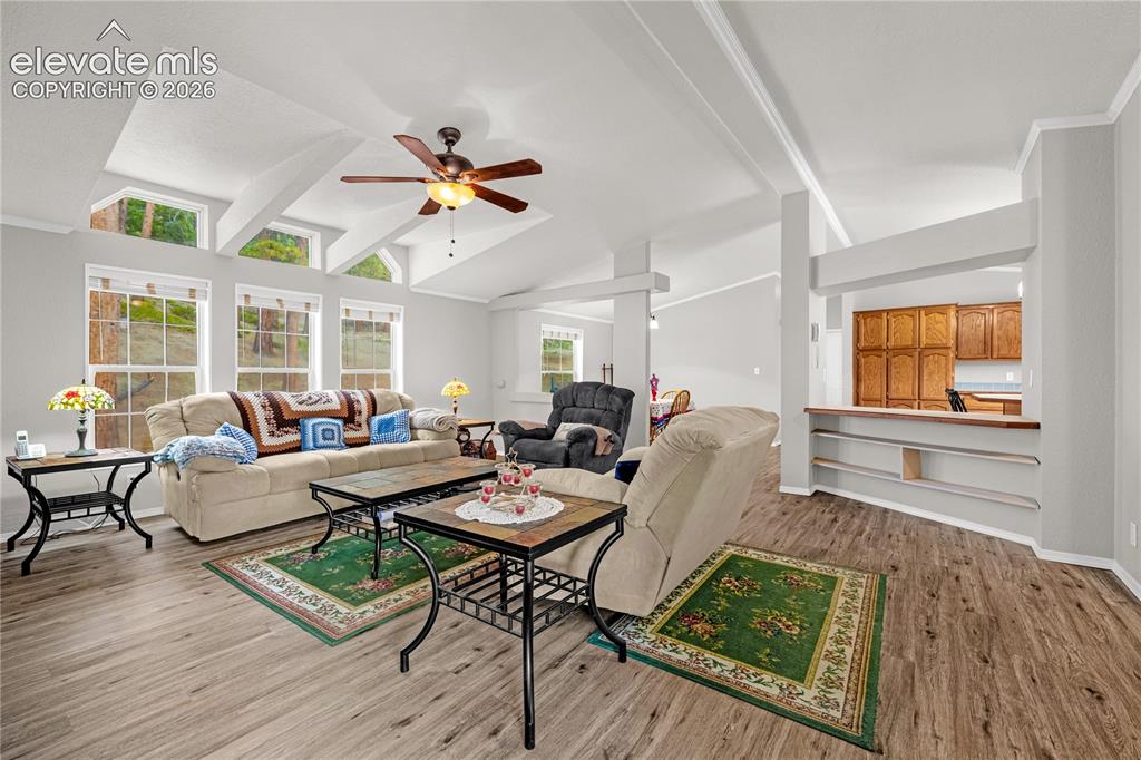 Image 6 of 36: Living Room