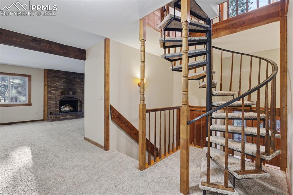 Image 3 of 50: Other