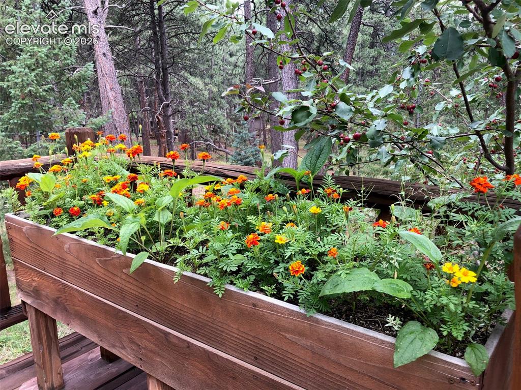 Image 5 of 50: Other