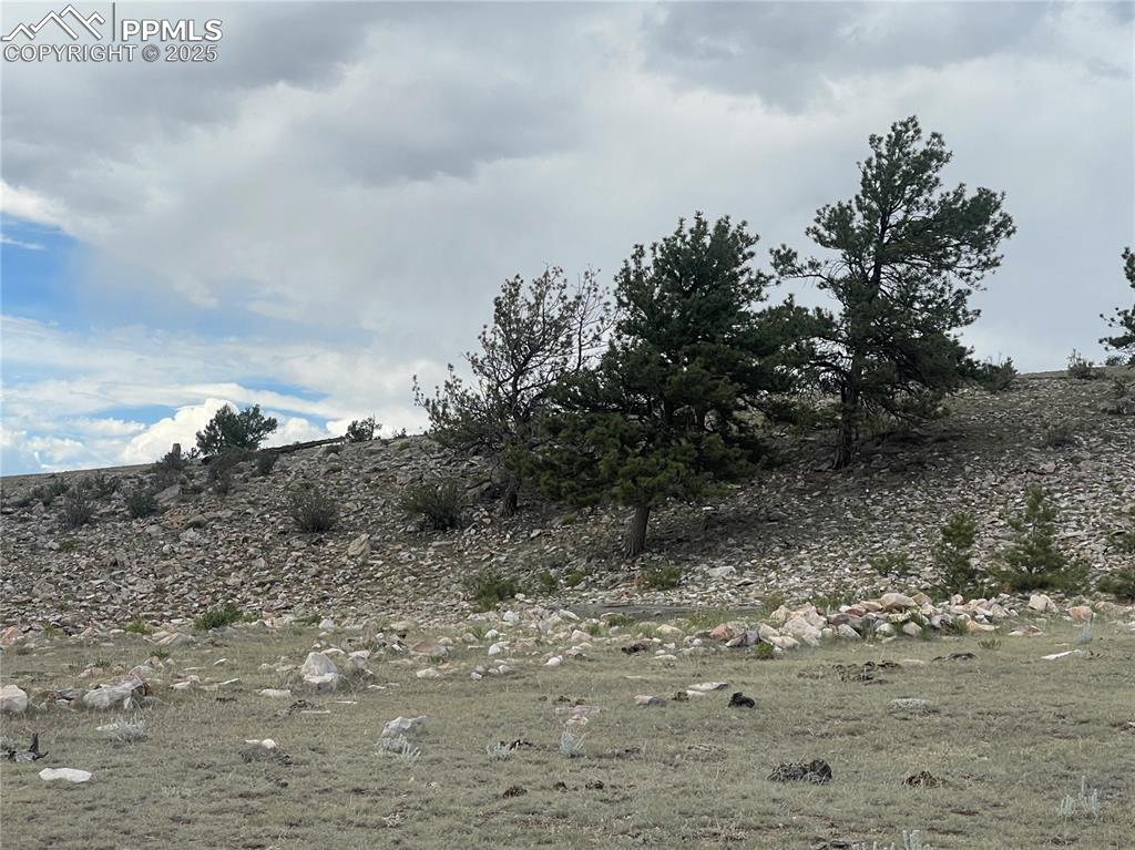 Image 13 of 22: Other